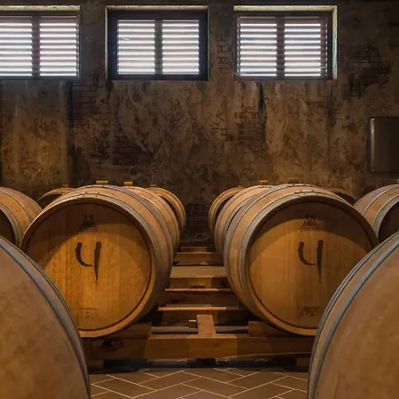 酒店 Wine & Chukara