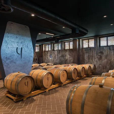 Wine & Chukara تريفنا